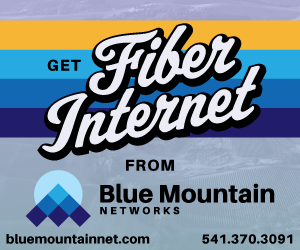 Blue Mountain Networks